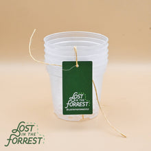 Load image into Gallery viewer, Clear Grower Pot: 4" (5 pack)