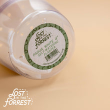 Load image into Gallery viewer, Padua Self-Watering Planter 4&quot;