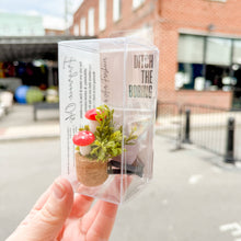 Load image into Gallery viewer, Mushroom Vent Clip Car Air Freshener Diffuser (Reusable): Random Scent