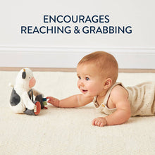 Load image into Gallery viewer, Carmen The Cow -Mirror™ Travel + Tummy Time Toy