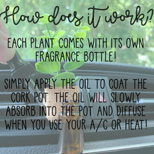 Load image into Gallery viewer, Plant Car Vent Clip Air Freshener Diffuser (Reusable): Random Scents