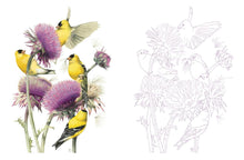 Load image into Gallery viewer, Posh Adult Coloring Book: Inspired by Nature by Marjolein  Bastin: Paperback