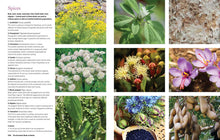 Load image into Gallery viewer, Reader's Digest The Essential Book of Herbs by: Paperback; 224 pages