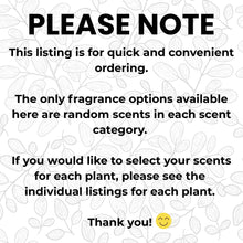 Load image into Gallery viewer, Plant Car Vent Clip Air Freshener Diffuser (Reusable): Random Scents