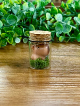 Load image into Gallery viewer, Mini Positive Rubber Figures in Glass Jar