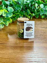 Load image into Gallery viewer, Mini Positive Rubber Figures in Glass Jar