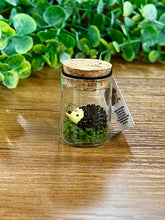 Load image into Gallery viewer, Mini Positive Rubber Figures in Glass Jar