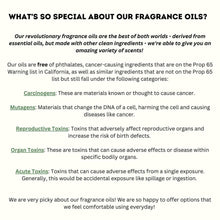 Load image into Gallery viewer, Sunflower Vent Clip Car Air Freshener Diffuser (Reusable): Random Scents