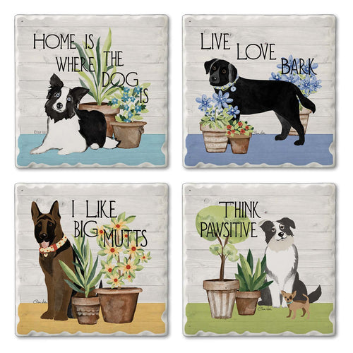 Bark & Bone Assorted Image Tumbled Tile Coaster