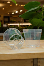 Load image into Gallery viewer, Clear Grower Pot: 6" (5 pack)