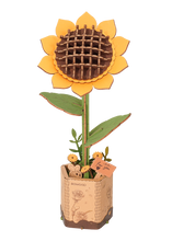 Load image into Gallery viewer, 3D Wooden Flower Puzzle Bundle Pack