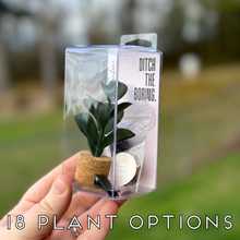 Load image into Gallery viewer, Plant Car Vent Clip Air Freshener Diffuser (Reusable): Random Scents