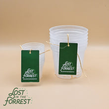 Load image into Gallery viewer, Clear Grower Pot: 4" (5 pack)