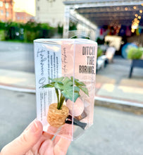 Load image into Gallery viewer, Monstera Vent Clip Car Air Freshener Diffuser (Reusable): Cashmere Vanilla