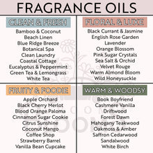 Load image into Gallery viewer, Plant Car Vent Clip Air Freshener Diffuser (Reusable): Random Scents