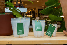 Load image into Gallery viewer, Clear Grower Pot: 6" (5 pack)