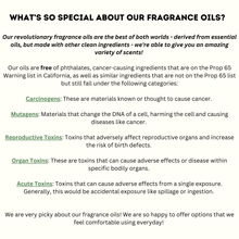 Load image into Gallery viewer, Plant Car Vent Clip Air Freshener Diffuser (Reusable): Random Scents