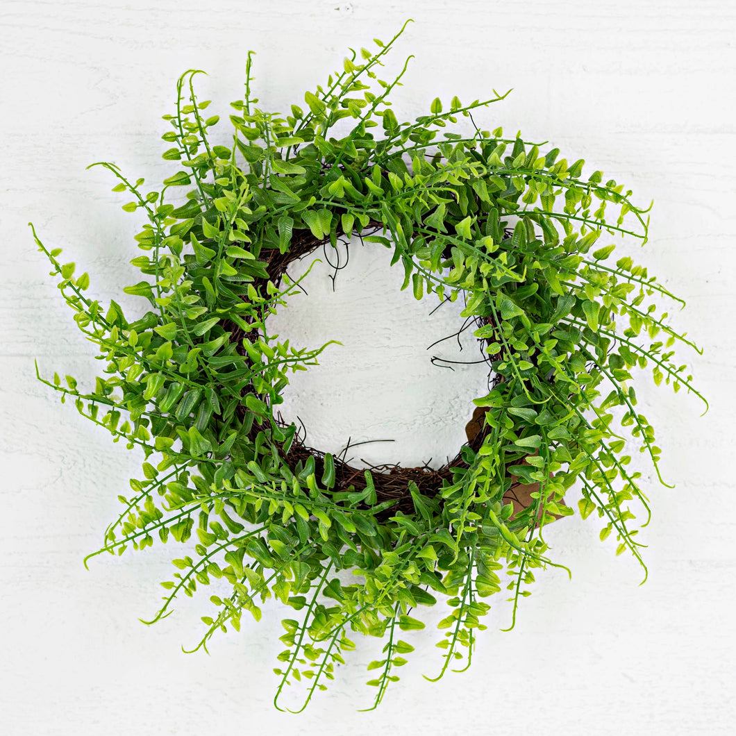 16in(6.5in) Green Fern Twig Wreath